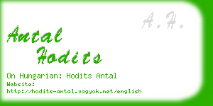 antal hodits business card